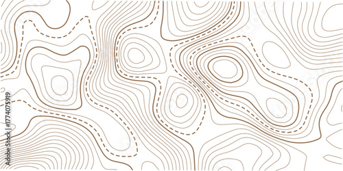 Topographic gold luxury map background. Geographic abstract pattern. Abstract mountain terrain map background with abstract shape line texture. Design illustration for wall art, fabric, packaging.