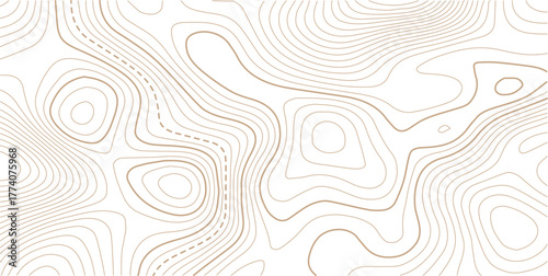 Topographic gold luxury map background. Geographic abstract patter.Abstract mountain terrain map background with abstract shape line texture. Design illustration for wall art, packaging, web, banner.
