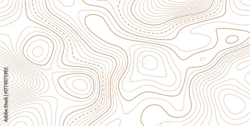 Topographic gold luxury map background. Geographic abstract pattern. Abstract mountain terrain map background with abstract shape line texture. Design illustration for wall art, fabric, packaging.