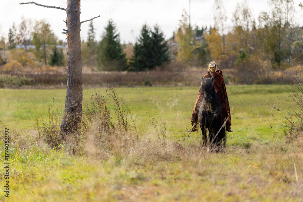 Obraz premium Icelandic horse ghostrider