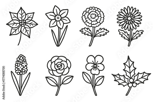 Seasonal Flower Icons. Line style icons of Seasonal flowers: poinsettia, daffodil, marigold, chrysanthemum, hyacinth, camellia,