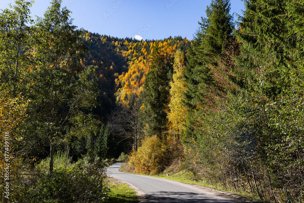 Obraz premium amazing autumn landscape with colorful trees