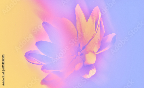 ethereal neon blurry floral abstract art with soft pink flower on pastel gradient background
