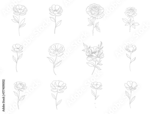 Elegant floral sketches in pale grayscale featuring various flower arrangements