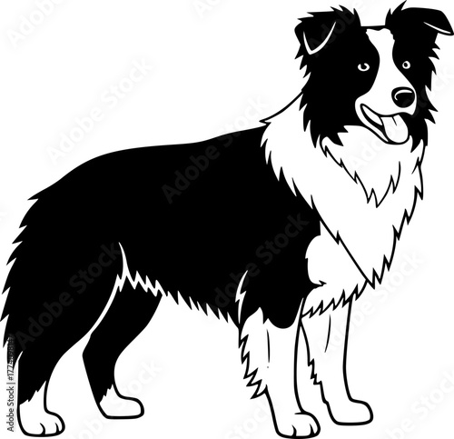Border Collie - Black and White Isolated Icon - Vector illustration
