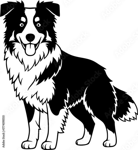Border Collie - Black and White Isolated Icon - Vector illustration
