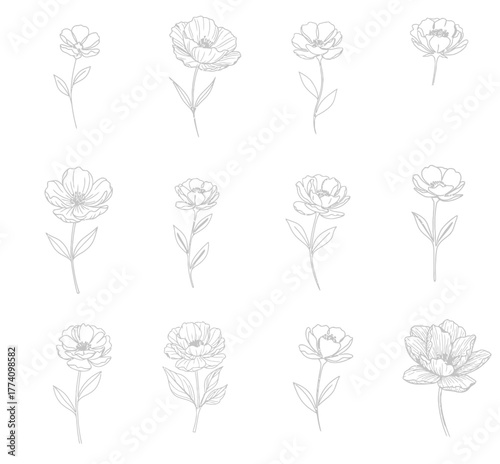 Elegant floral line art design with blossoming flower arrangements decor