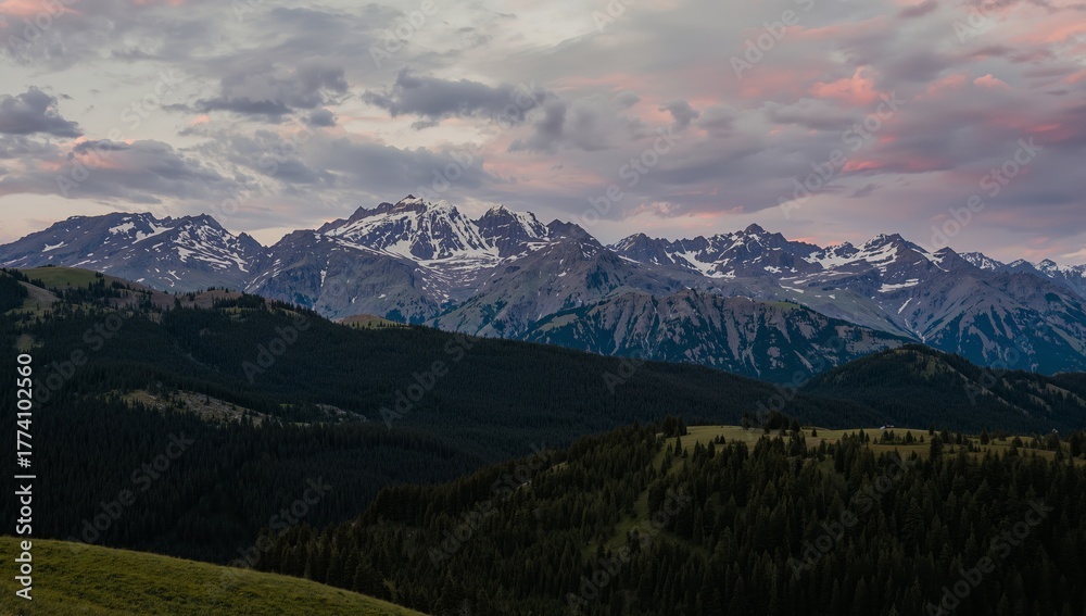 Obraz premium Mountain Peaks at Twilight, Dark Green Forest and Sky with PinkGrey Clouds.