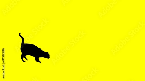 Black Cat Jumps Over Yellow Screen Isolation: Dynamic Action Scene for Web Project