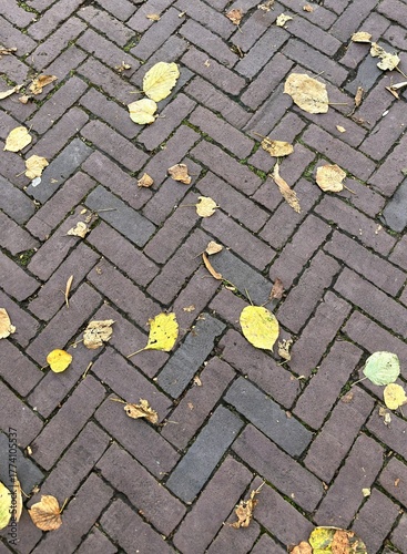 Wallpaper Mural Leaves on the Ground Torontodigital.ca