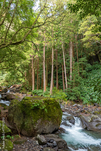 Water stream next to a hiking trail near Faial da Terra on Sao Miguel Island, Azores archipelago