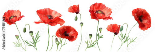 Wallpaper Mural A vibrant arrangement of red poppy flowers swaying gently in a soft breeze, set against a clear blue sky, symbolizing beauty and nature's resilience Torontodigital.ca