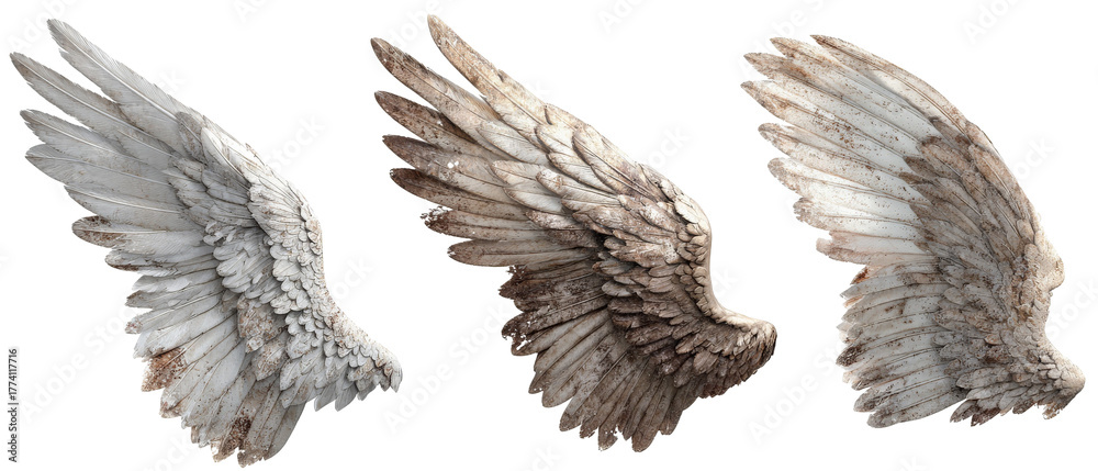 Obraz premium Three distinct pairs of angelic wings showcasing varying textures and colors, set against a transparent background, ideal for fantasy art, illustrations, or creative projects
