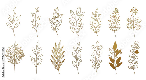 Elegant golden botanical illustrations of leaves and branches on a white background, perfect for design and decoration