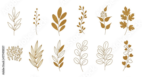 Elegant botanical illustrations set, featuring golden and line art plant elements for design projects