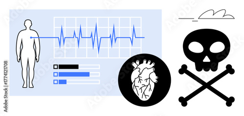 Human body outline beside a heart rate monitor graph, internal heart image, and skull with crossbones. Ideal for health, cardiology, anatomy, risk assessment, medical safety, awareness mortality