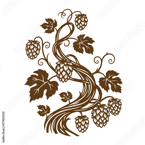 Vintage art illustration of a hop plant with hops and leaves in brown on white