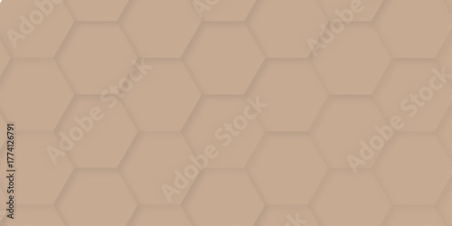  abstract vector minimal with 3d white hexagon background and Embossed Hexagon , honeycomb white mosaic cell web ,light and shadow texture design.