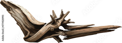 A single piece of weathered and gnarled driftwood showing its unique organic texture and intricate form, isolated on a white background for natural decoration