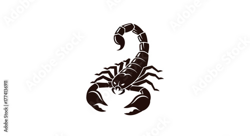 Black scorpion silhouette isolated on white background for design