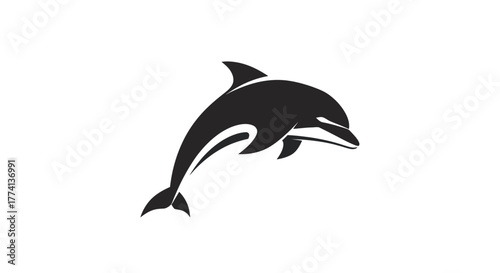 Black silhouette of a dolphin leaping against a white background vector