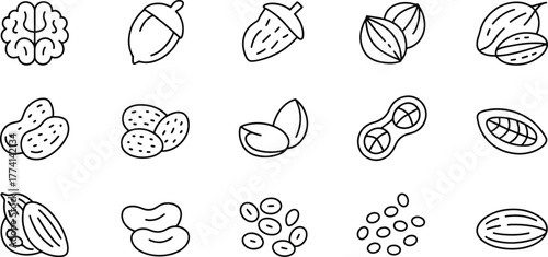 Diverse Collection of Nuts and Seeds in Black and White Outline Style Perfect for Nutrition and Food Related Designs