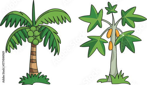 vector illustration of a palm tree