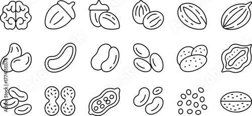 Variety of Nuts and Seeds Line Art Icon Collection Healthy Food Choices and Nutritional Benefits