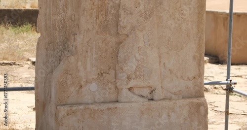 Wallpaper Mural Close-up of the famed winged figure relief at Pasargadae, carved in weathered limestone. Feathered wings and age cracks are visible, with the desert landscape softly blurred behind. Torontodigital.ca
