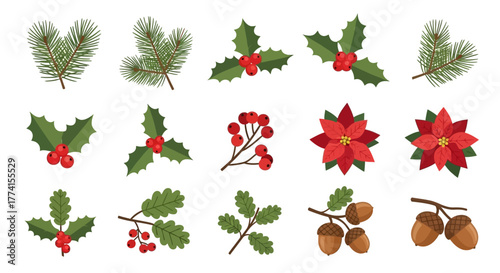 A festive collection of Christmas and winter botanical illustrations, featuring holly, pine branches, poinsettia, and acorns for seasonal holiday design