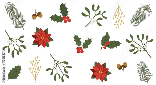 A festive collection of winter botanical illustrations featuring traditional Christmas plants like poinsettia, holly, mistletoe, and pine