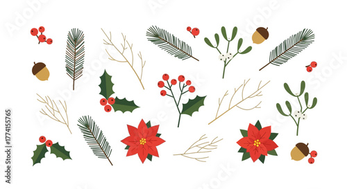 A festive collection of hand-drawn style winter botanicals including poinsettia, holly, mistletoe, and pine for Christmas designs