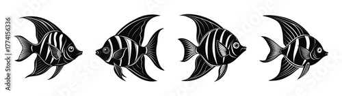 Black and white angelfish illustration tropical fish marine life aquarium fish sea creatures ocean animals