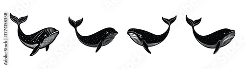 Black and white whale illustration art print ocean wildlife marine life nautical theme home decor wall art