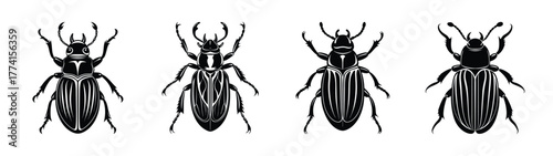 Vector illustration of ground beetles collection insect species entomology black and white line art drawing