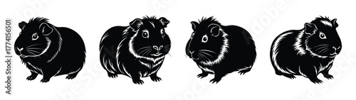 Black and white guinea pig illustration art print cute pet rodent cavy drawing silhouette design