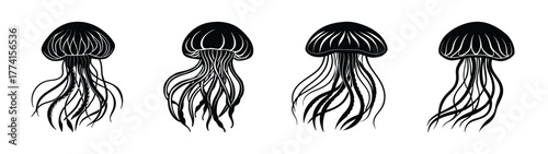 Jellyfish vector art illustration, marine life, sea creature design, ocean animal, black and white drawing