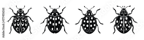 Collection of four black and white longhorn beetles insect vector illustration design art