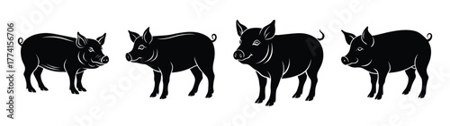 Four black pigs illustration vector art graphic design farm animals swine livestock mammal silhouette