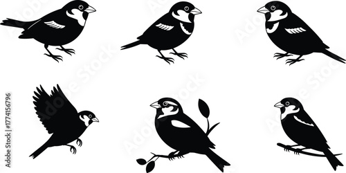 Bird illustration set, black and white sketch, perched and flying poses, minimalist avian art, nature icon collection, stylized wildlife drawing