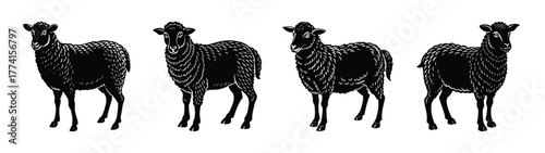 Four black sheep illustration vector design animal farm livestock art graphic design element isolated on white