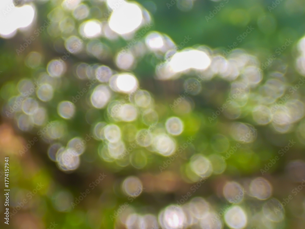 Obraz premium Soft Green Forest Light Through Bokeh Lens. A dreamy image showing sunlight filtered through forest leaves, captured with a soft bokeh effect creating a calm and peaceful mood.