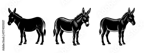 Three black donkeys vector illustration, farm animals, livestock, equine, mule, donkey clip art, mammal
