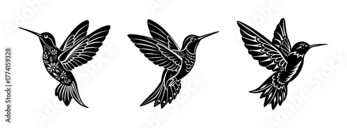 Hummingbird vector illustration art design flying birds silhouette drawing clip art design element graphic