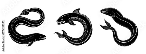 Three black and white eel fish illustration vector art drawing aquatic animal sea creature design