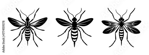 Mosquito insect vector illustration graphic design, black and white mosquito clip art images