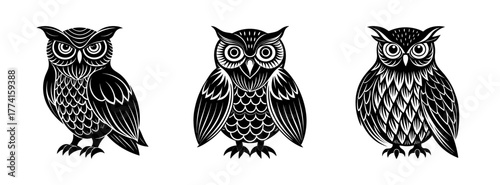 Three black and white owl illustrations vector art nocturnal birds of prey drawing design graphic