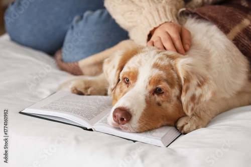 Owner with cute Australian Shepherd dog and book on bed in bedroom