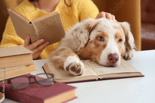 Owner with cute Australian ...