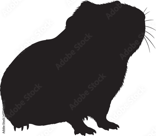 Adorable guinea pig silhouette side profile pet animal cute rodent domestic farm animal companion small mammal furry creature